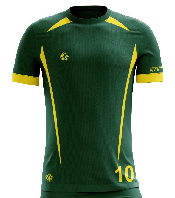 Railway Union Training Jersey - Men