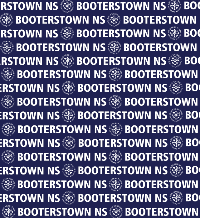 Booterstown NS Hoody