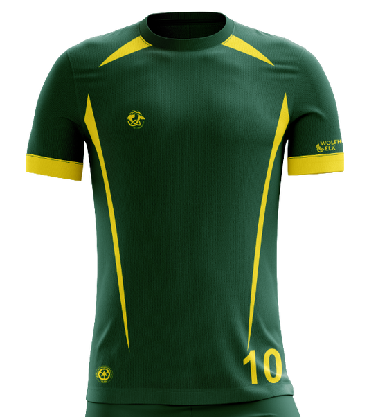 Railway Union Training Jersey - Men