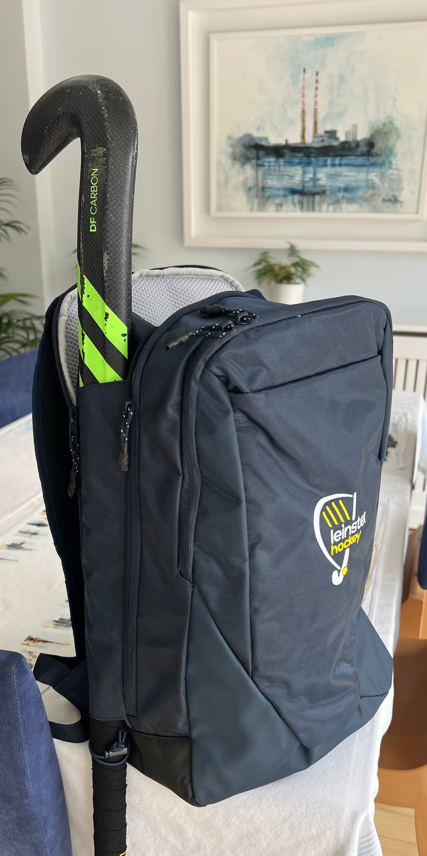 Leinster Back Pack
