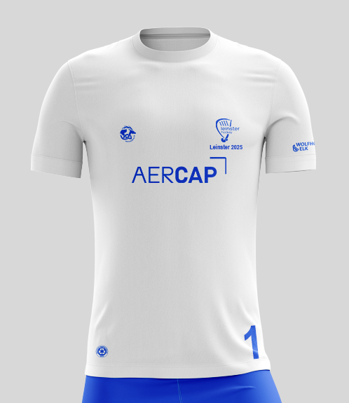 Leinster Boys Match Jersey